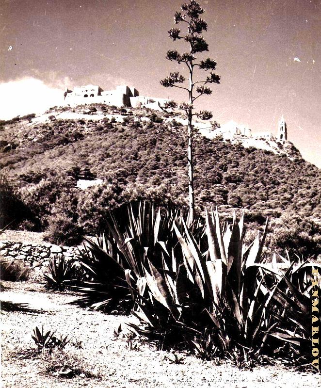 B 016- Djebel Murdjadjo- Vue generale.jpg